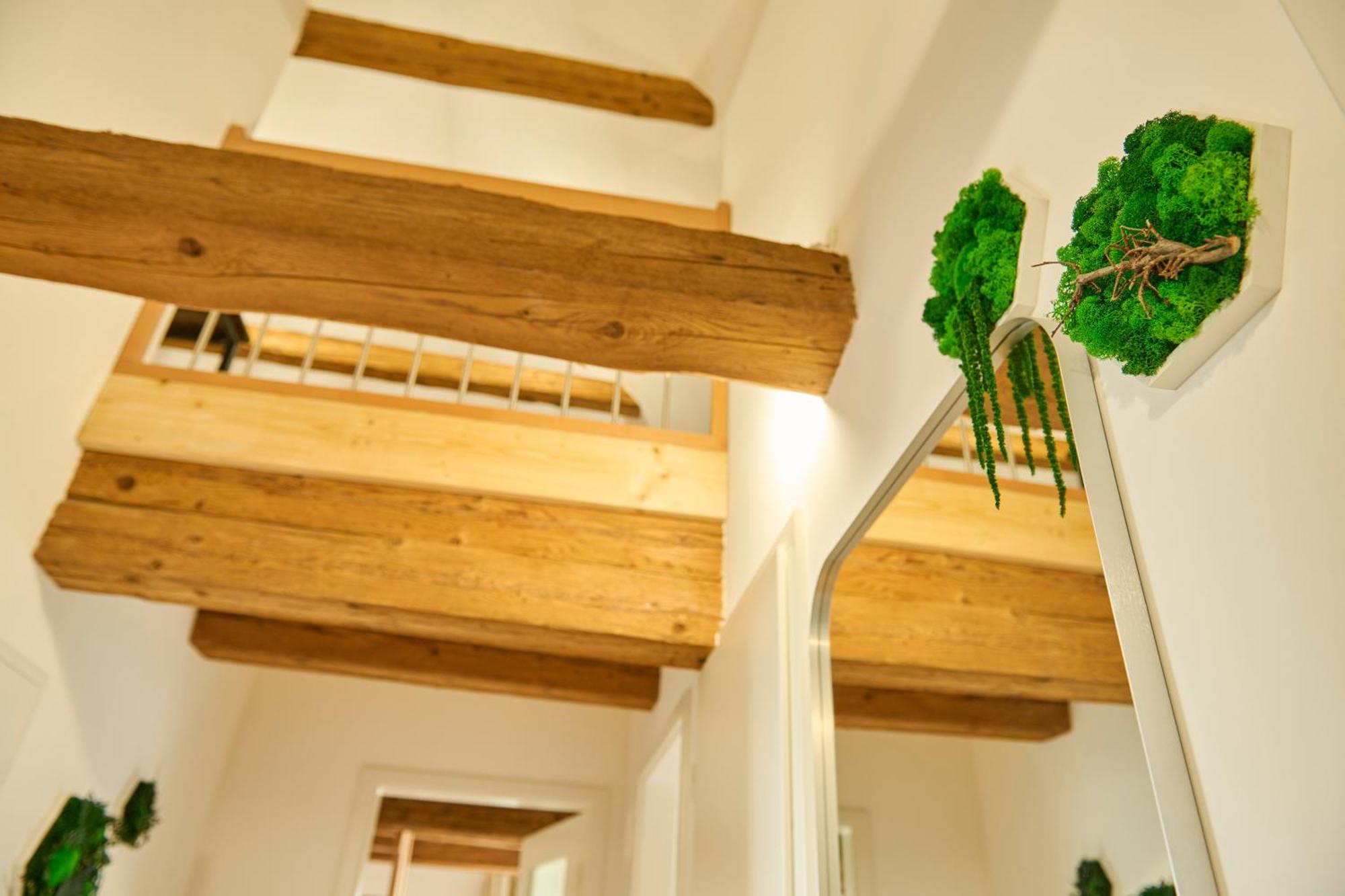 Wood World Luxury - Massage - Bergblick - Tranpolin- Parken Διαμέρισμα Markdorf Εξωτερικό φωτογραφία